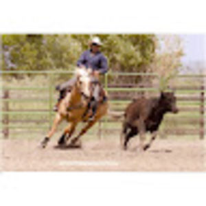 Meet your Posher, Peggy